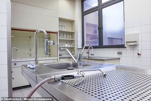 Choosing the Right Morgue Body Box - American Mortuary Coolers & Equipments