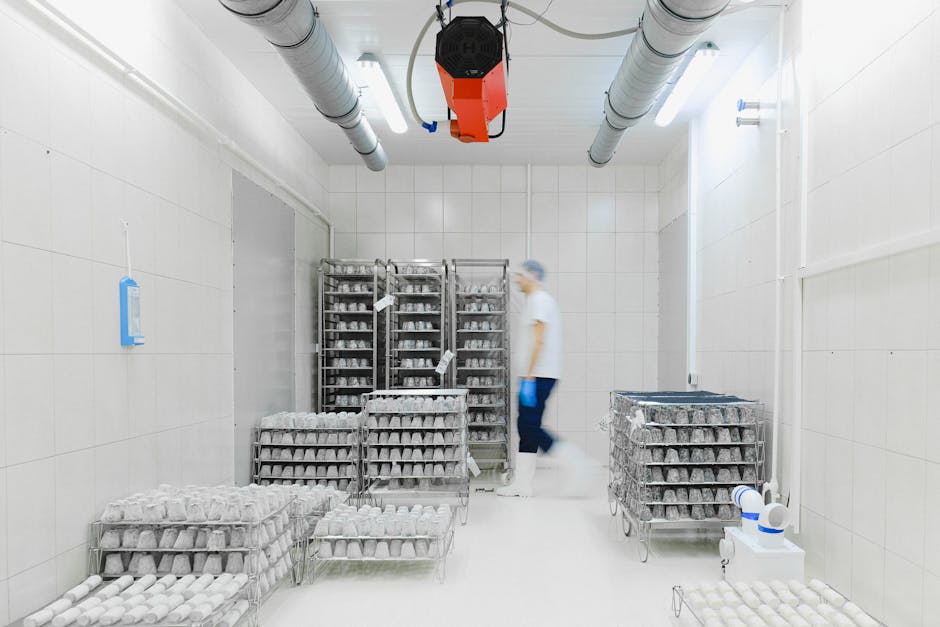 Cold Comfort – Understanding Walk In Cold Rooms - American Mortuary Coolers & Equipments
