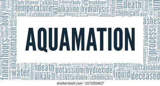 Could Water Cremation Become the New American Way of Death? - American Mortuary Coolers & Equipments
