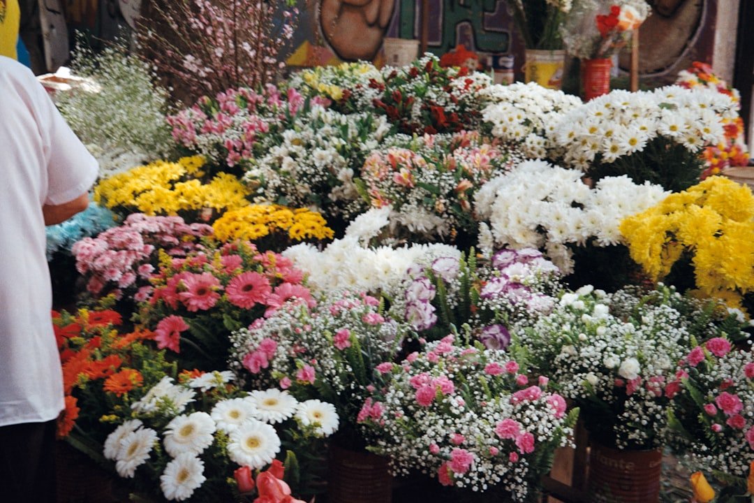 Floral Stands for Funerals That Speak Louder Than Words - American Mortuary Coolers & Equipments