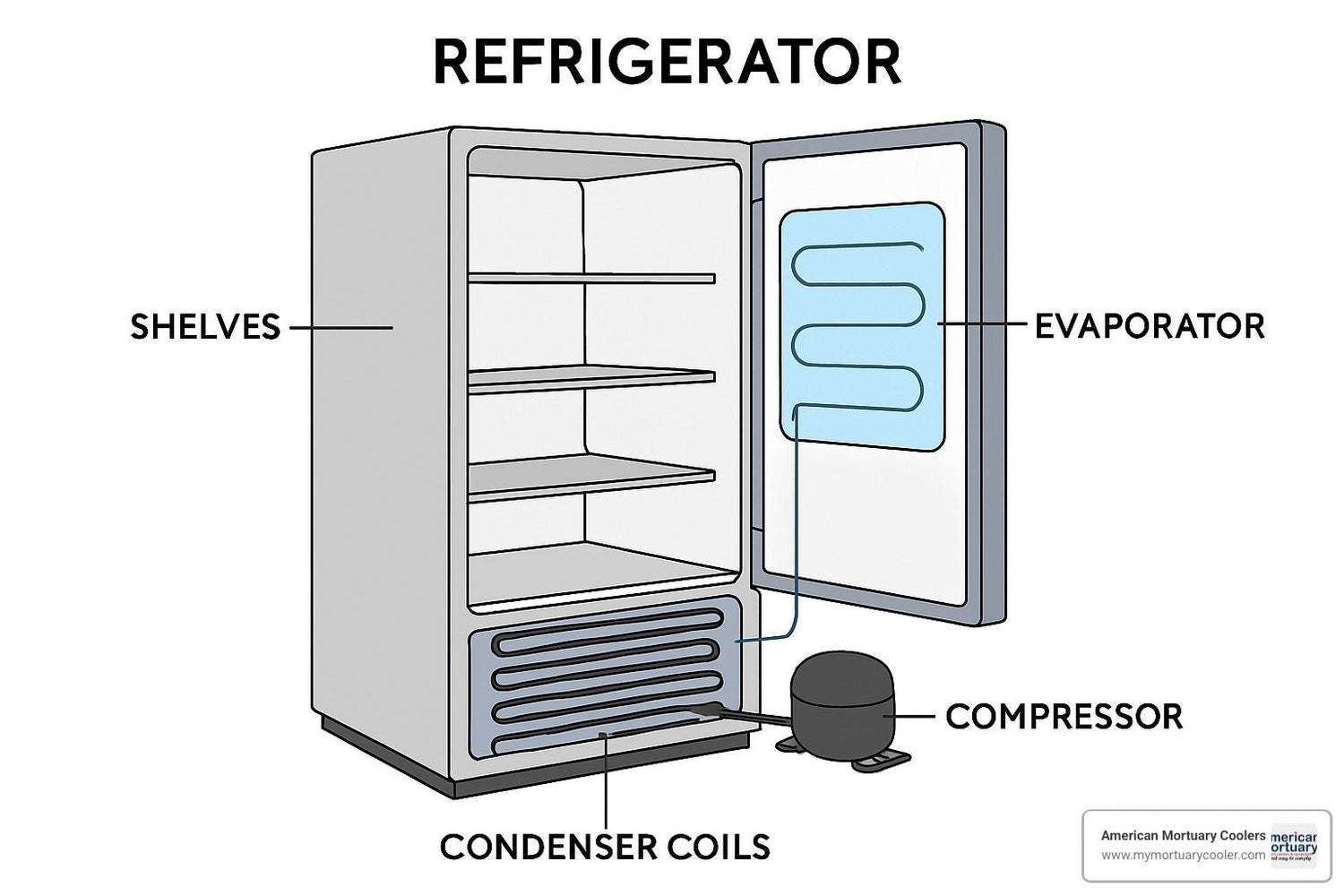 Inside Your Fridge - A Visual Tour of Refrigerator Anatomy - American Mortuary Coolers & Equipments