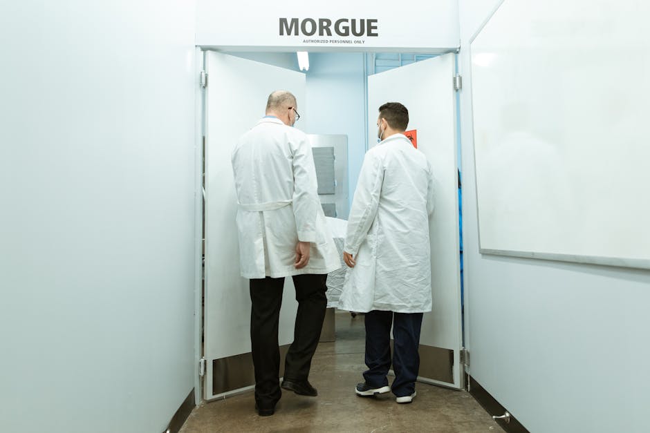 Keeping It Cool: Top Morgue Body Coolers Reviewed - American Mortuary Coolers & Equipments