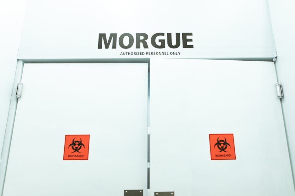 Keeping Cool: The Essential Guide to Morgue Freezers